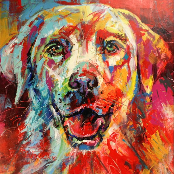 Labrador II